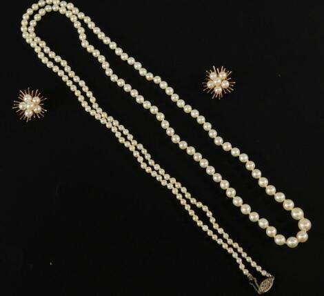 A cultured pearl necklace