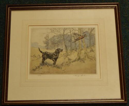 After Henry Wilkinson. Labrador spooking a pheasant