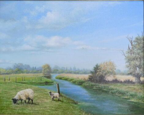 R Southall. Sheep in river landscape