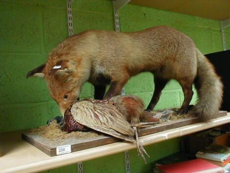 A taxidermy fox with prey £20-40