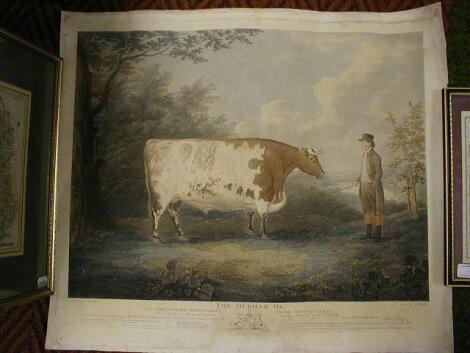 After J. Boultbee. The Durham Ox