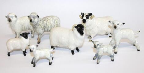 A collection of Beswick sheep