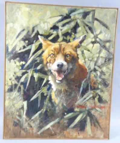 Andrew Haslen (fl.1984). Startled Fox in the Undergrowth