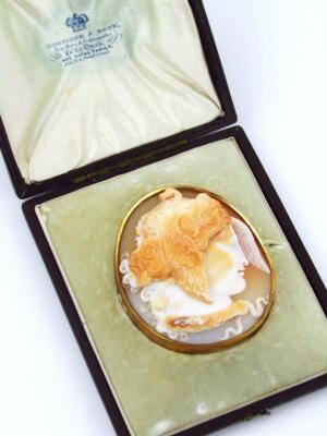 A 19thC shell cameo of a male head