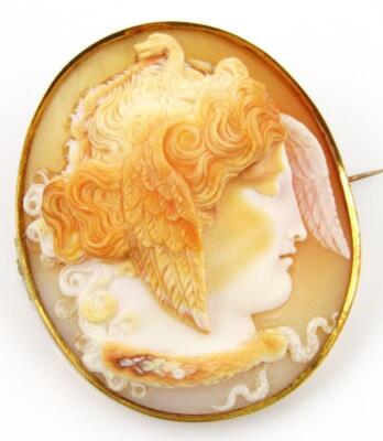 A 19thC shell cameo of a male head - 2