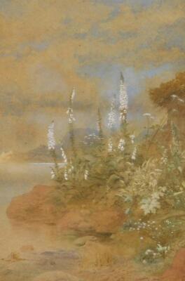 Robert Michael Ballantyne (1852-1894). Foxgloves on riverbank