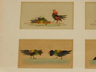 A set of six 19thC feather and watercolour pictures - 2