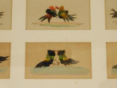 A set of six 19thC feather and watercolour pictures - 3