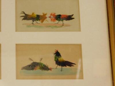 A set of six 19thC feather and watercolour pictures - 4