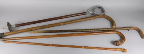 A collection of walking sticks