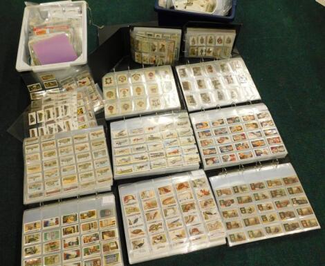 A large single owner collection of cigarette cards