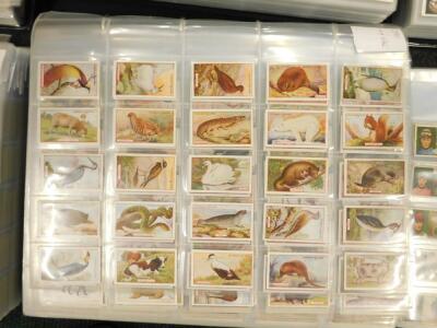 A large single owner collection of cigarette cards - 2