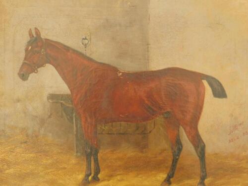 J A B Jag (19thC). Stabled brown gloss horse