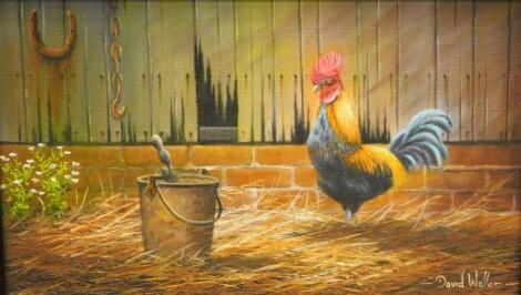 David Waller (b.1945). Cockerel