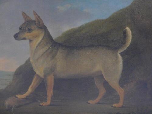 19thC English School. Study of a dog in a landscape