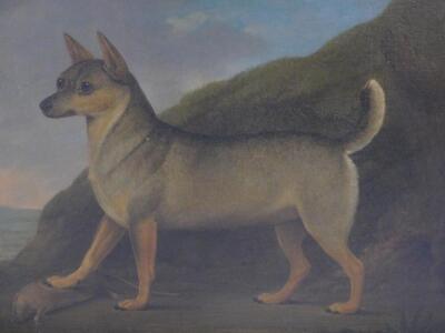 19thC English School. Study of a dog in a landscape