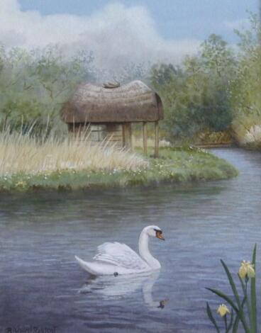 ‡Richard Robjent (b.1937). Mute swan on the river Test