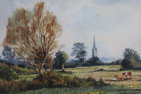 ‡Terry Shelbourne (b 1930). Fields with cattle before Grantham spire