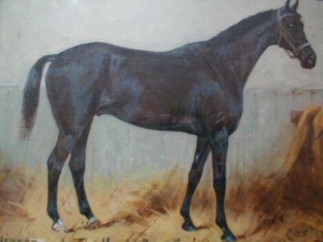 Gxxx Pxxx (20thC). Winner of the Hunt Cup