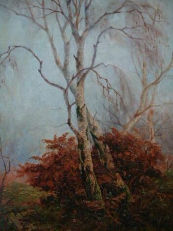 J.W. Topham. Autumn woodland landscape