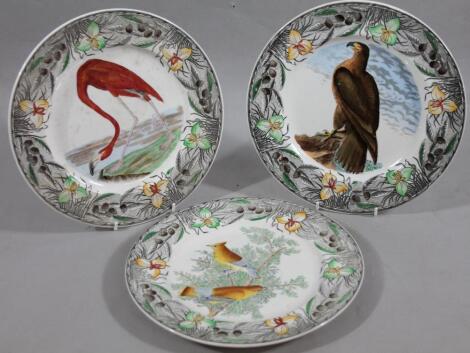 Various Adams pottery Audubon Birds of America transfer printed plates