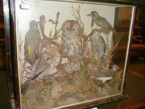 A Victorian glazed taxidermy display of birds £30-50