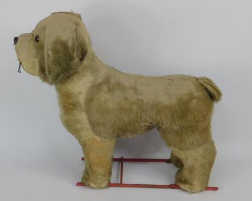 A Pedigree two tone dog