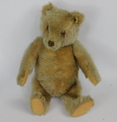 A Steiff Teddy bear