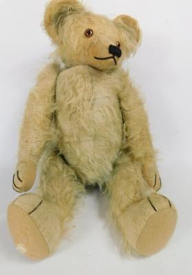 An early 20thC coloured mohair type Teddy bear