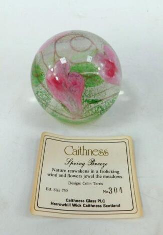 A Caithness glass paperweight