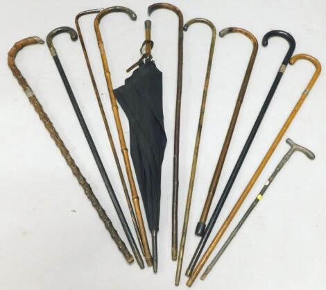 A quantity of walking sticks