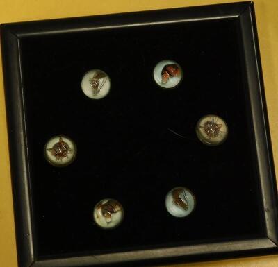 A set of six animal collar studs - 2