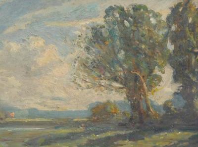 19th/20thC British School. Woodland landscape