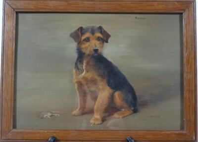 Frances Mabel Hollams (1897-1929). Rummy black and tan terrier aside the day's catch - 2