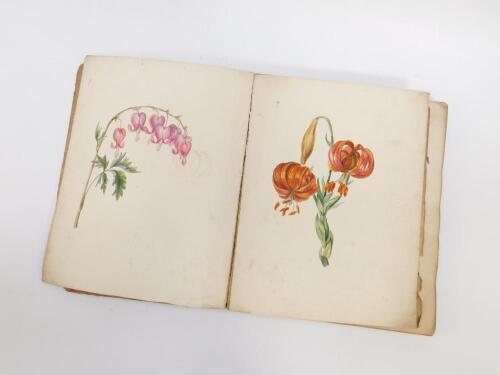 An early 19thC album of botanical watercolours by Charlotte Metcalfe