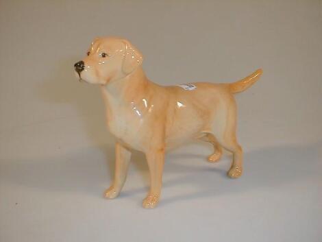 A Beswick figure of a golden Labrador "Solomon of Wendover"