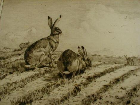 After Winifred Austin. Hares in the young wheat. Etching