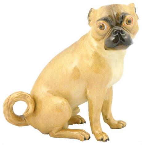 A Meissen porcelain model of a seated pug