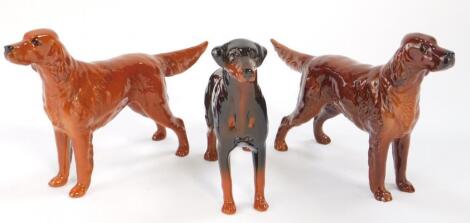 A Beswick figure of a Doberman