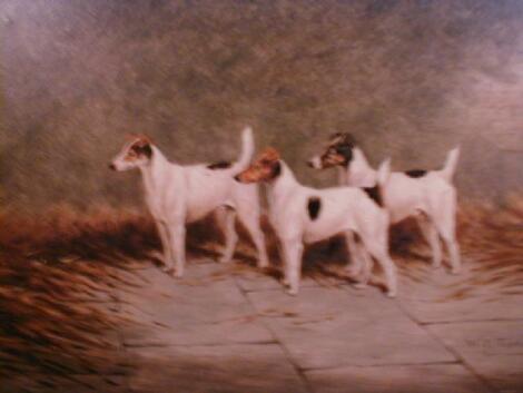 W Eddowes Turner. Three smooth haired terriers in a stable yard