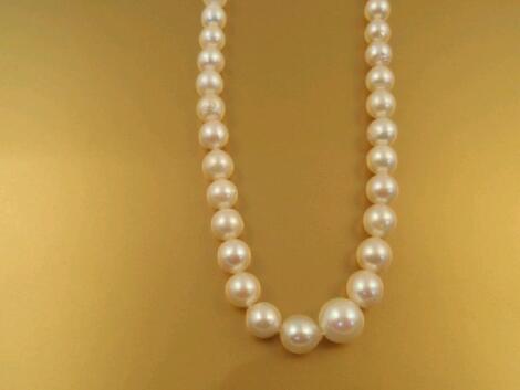 A graduated cultured pearl necklace with clasp marked "sterling"