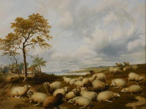 Thomas Sidney Cooper (1803-1902). Sheep grazing on the south