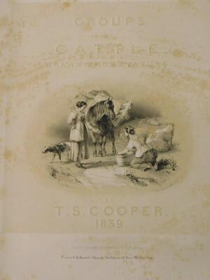 Cooper (Thomas Sidney). Cattle groups from nature - 1839 - 3