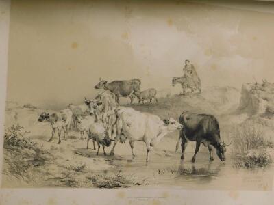 Cooper (Thomas Sidney). Cattle groups from nature - 1839 - 5