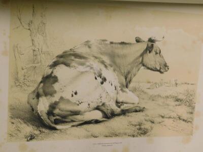 Cooper (Thomas Sidney). Cattle groups from nature - 1839 - 6