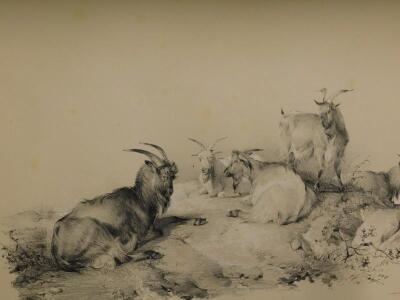 Cooper (Thomas Sidney). Subjects of Cattle 1837 - 5