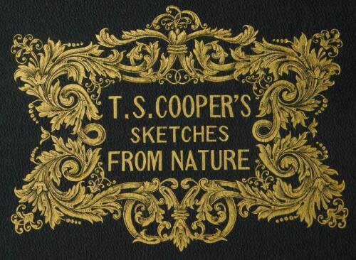 Cooper (Thomas Sidney). Sketches From Nature