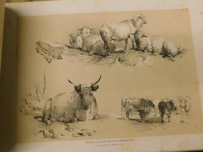 Cooper (Thomas Sidney). Sketches From Nature - 5