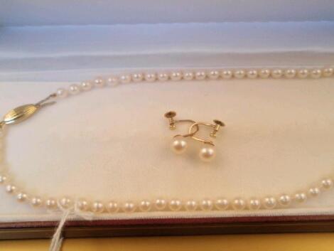 A uniform size cultured pearl necklace with clasp stamped 9kt