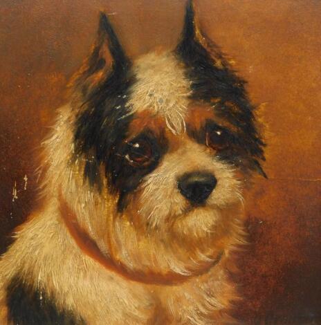 19thC Continental School. Portrait of a dog